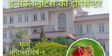 मेचीनगर ´जापानिज इन्सेफ्लाइटिस`काे इपिसेन्टर बन्दै 
