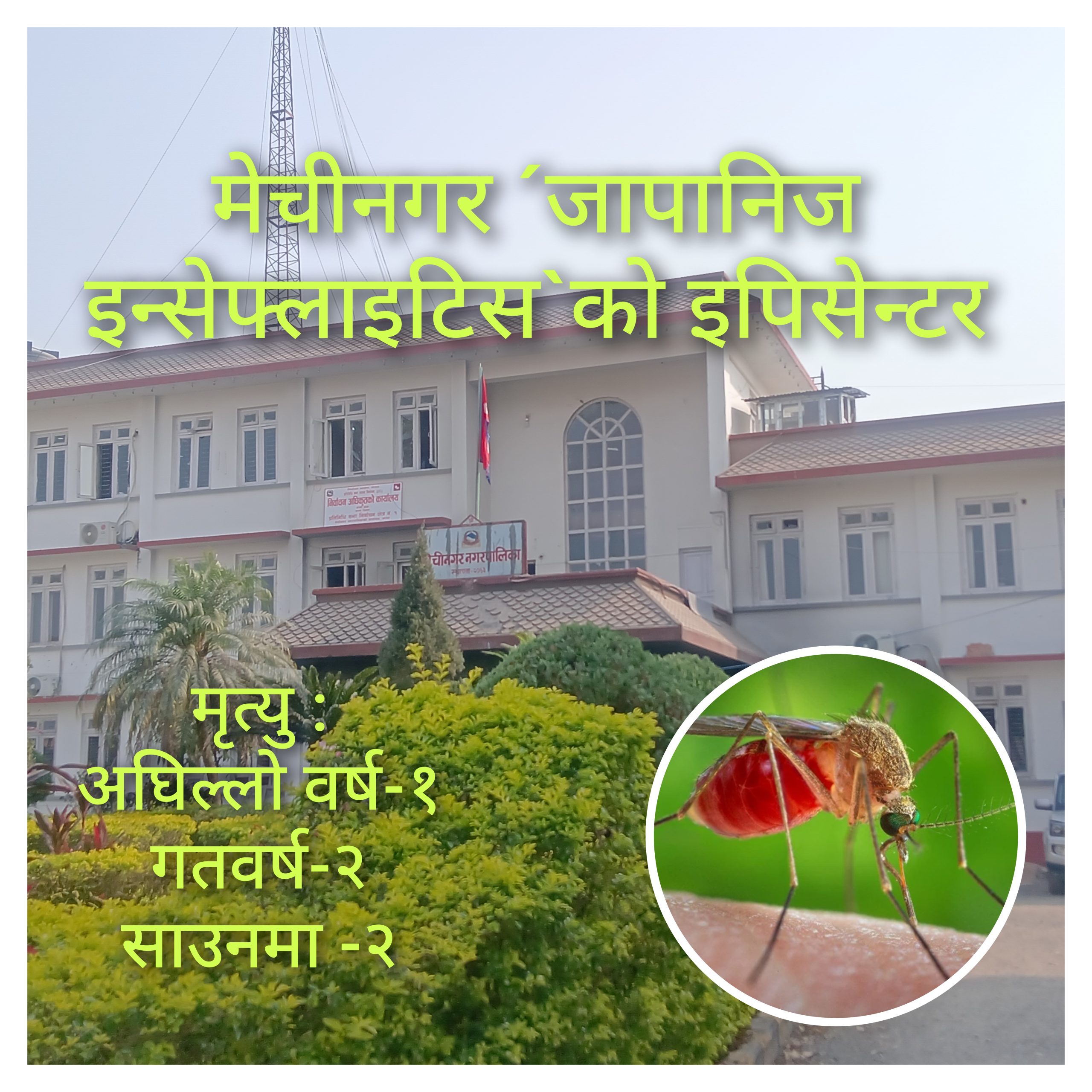 मेचीनगर ´जापानिज इन्सेफ्लाइटिस`काे इपिसेन्टर बन्दै 