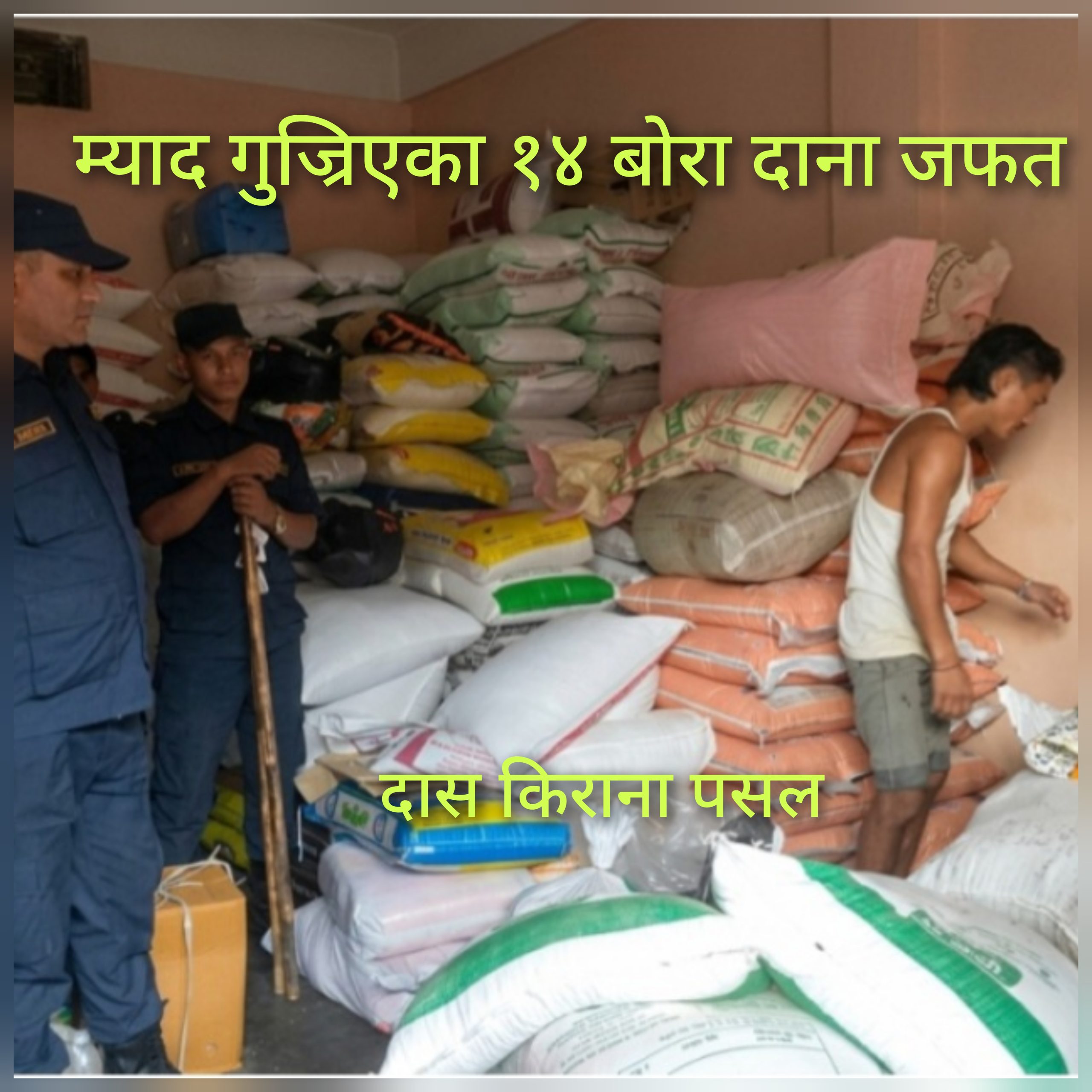 म्याद गुज्रिएकाे ४९० किलाे पेलेट दाना बरामद