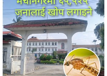 मेचीनगरमा ६५ हजार बढीलाई ´जापानिज इन्सेफ्लाईटिस` विरूद्धकाे खाेप लगाइने